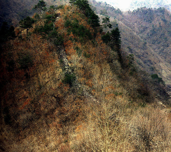 ankim04-18z15.jpg