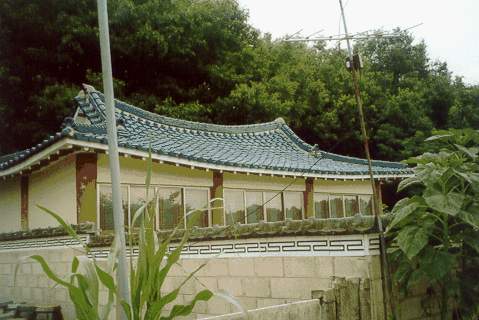 ankim04-18z55.jpg
