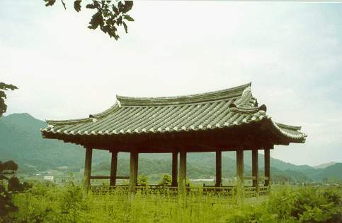 ankim04-18z57.jpg