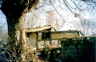 ankim04-18z71.jpg