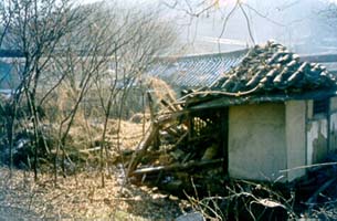 ankim04-18z72.jpg