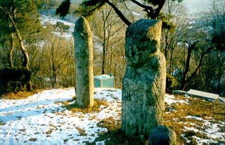 ankim04-18z82.jpg