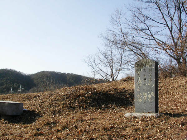 ankim04-4-19.jpg