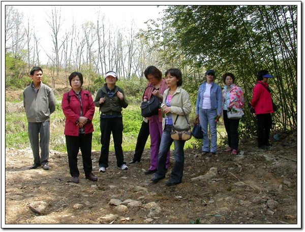 ankim04-4-245.jpg