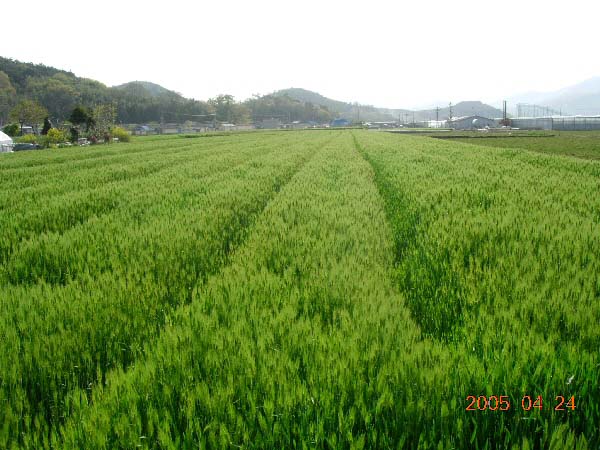 ankim04-4-261.jpg