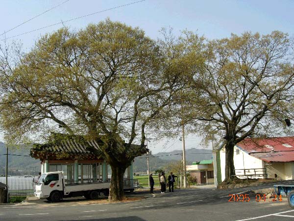 ankim04-4-264.jpg