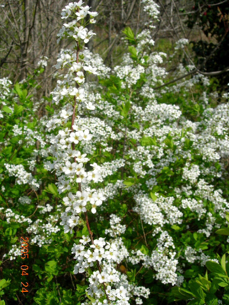 ankim04-4-269.jpg