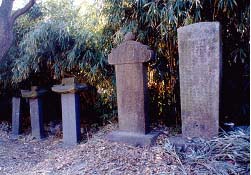 ankim04-4-33.jpg
