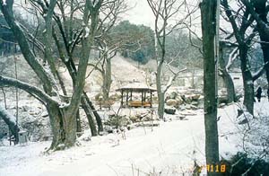 ankim04-7z112.jpg