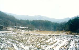 ankim04-7z113.jpg