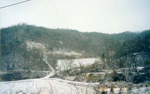 ankim04-7z117.jpg