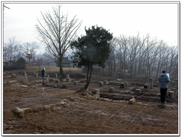 ankim04-7z268.jpg