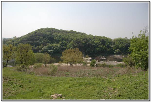 ankim04-7z320.jpg