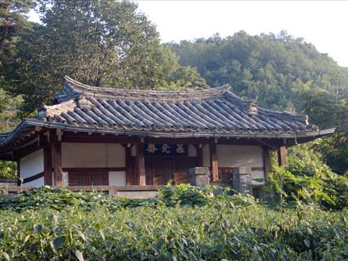 ankim04-9d.jpg